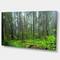 Designart - Hoh Rain Forest - Landscape Photography Canvas Art Print